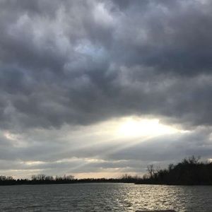 Meet your Posher, Aly